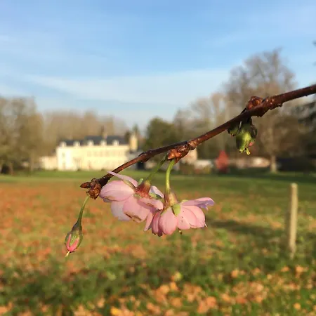 Bed & Breakfast Chateau De La Sauliniere
